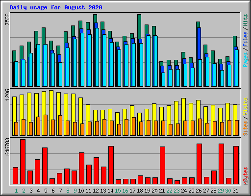 Daily usage for August 2020