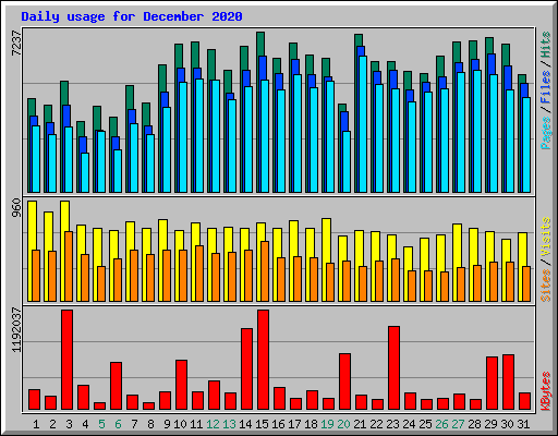 Daily usage for December 2020