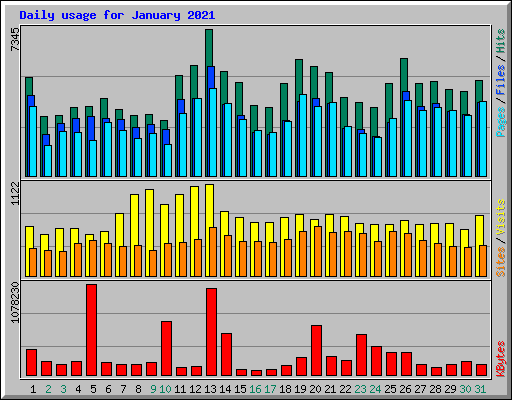 Daily usage for January 2021