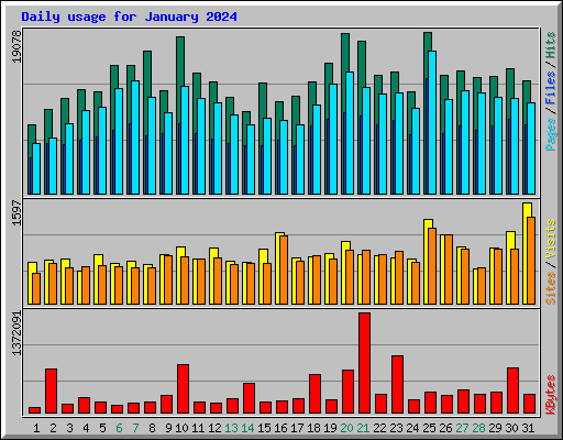 Daily usage for January 2024