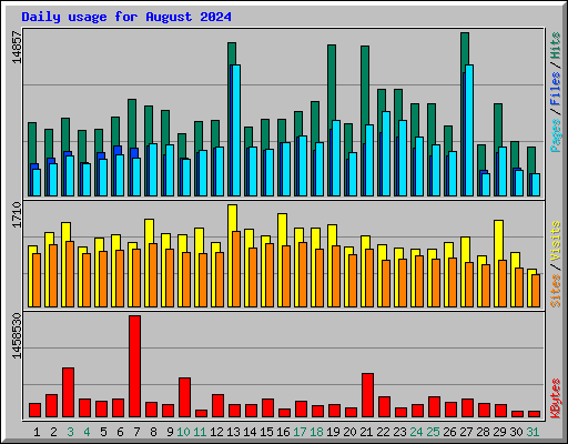 Daily usage for August 2024