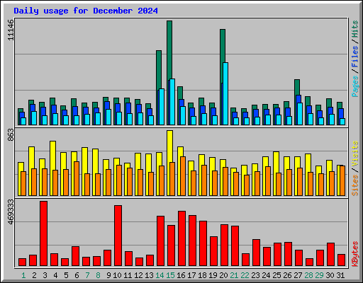 Daily usage for December 2024