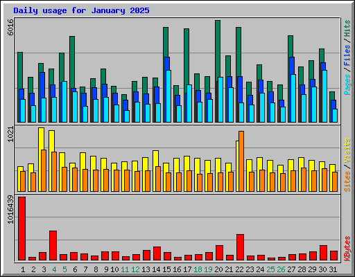 Daily usage for January 2025