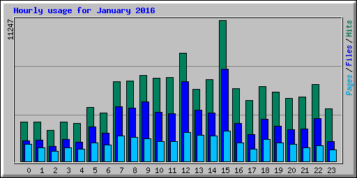 Hourly usage for January 2016
