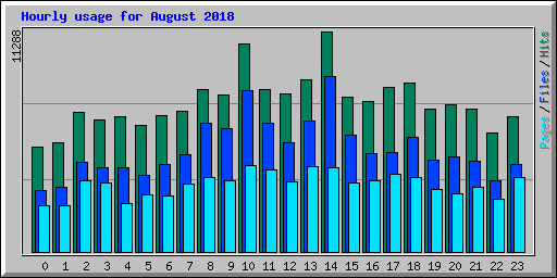 Hourly usage for August 2018