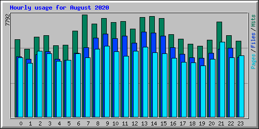 Hourly usage for August 2020