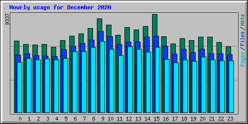 Hourly usage for December 2020