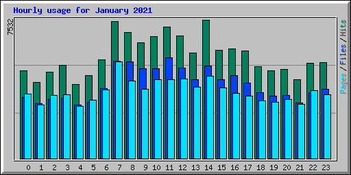 Hourly usage for January 2021