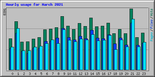 Hourly usage for March 2021