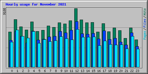 Hourly usage for November 2021