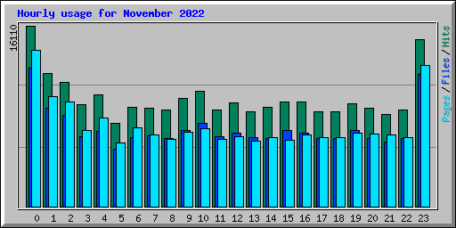 Hourly usage for November 2022