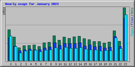 Hourly usage for January 2023