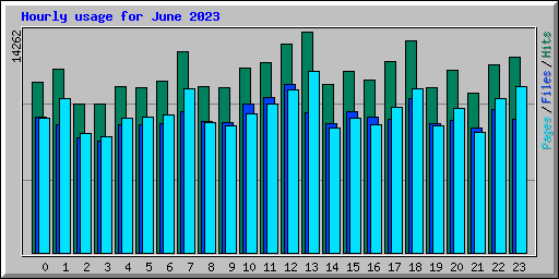 Hourly usage for June 2023