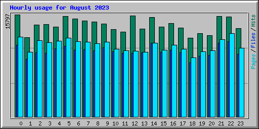 Hourly usage for August 2023