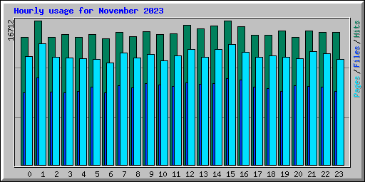 Hourly usage for November 2023