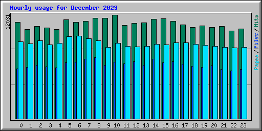Hourly usage for December 2023