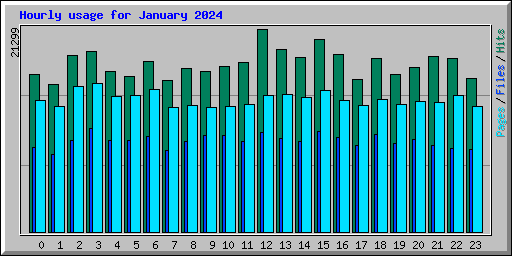 Hourly usage for January 2024