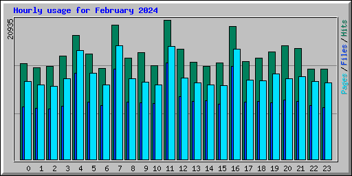 Hourly usage for February 2024