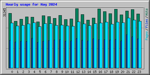 Hourly usage for May 2024