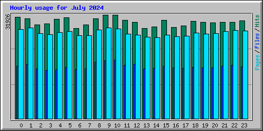 Hourly usage for July 2024