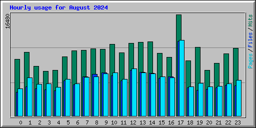 Hourly usage for August 2024