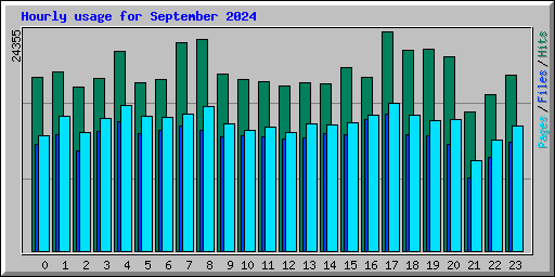 Hourly usage for September 2024