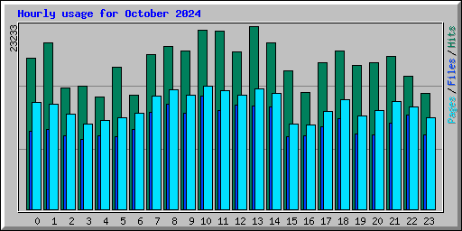 Hourly usage for October 2024