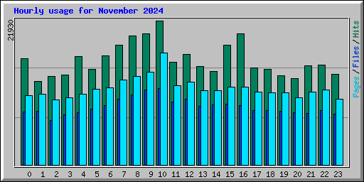 Hourly usage for November 2024