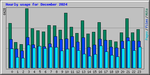 Hourly usage for December 2024