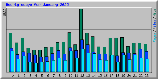 Hourly usage for January 2025