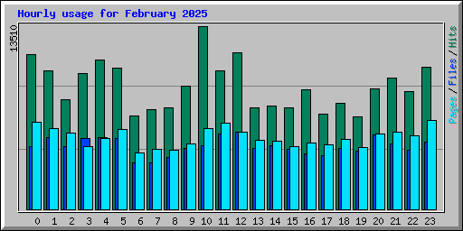 Hourly usage for February 2025