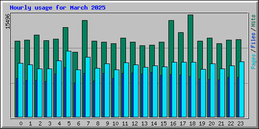 Hourly usage for March 2025