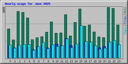 Hourly usage for June 2025