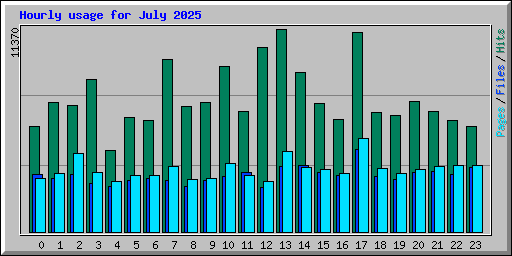 Hourly usage for July 2025