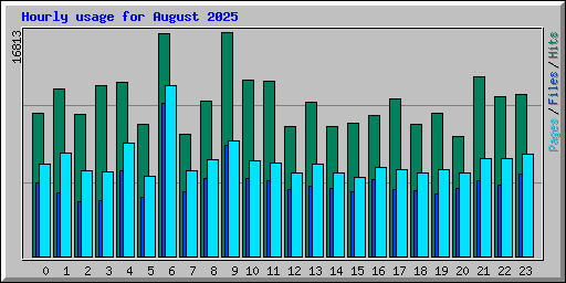Hourly usage for August 2025
