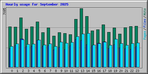 Hourly usage for September 2025